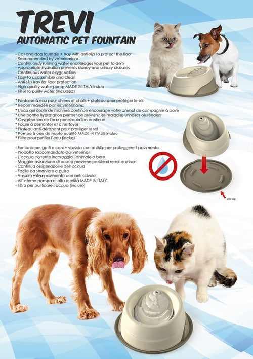 FONTANA PER CANI E GATTI CON POMPA TREVI CAP. 2 L Prodotti per animali domestici/Cani/Ciotole e distributori/Distributori d'acqua Trade Shop italia - Napoli, Commerciovirtuoso.it