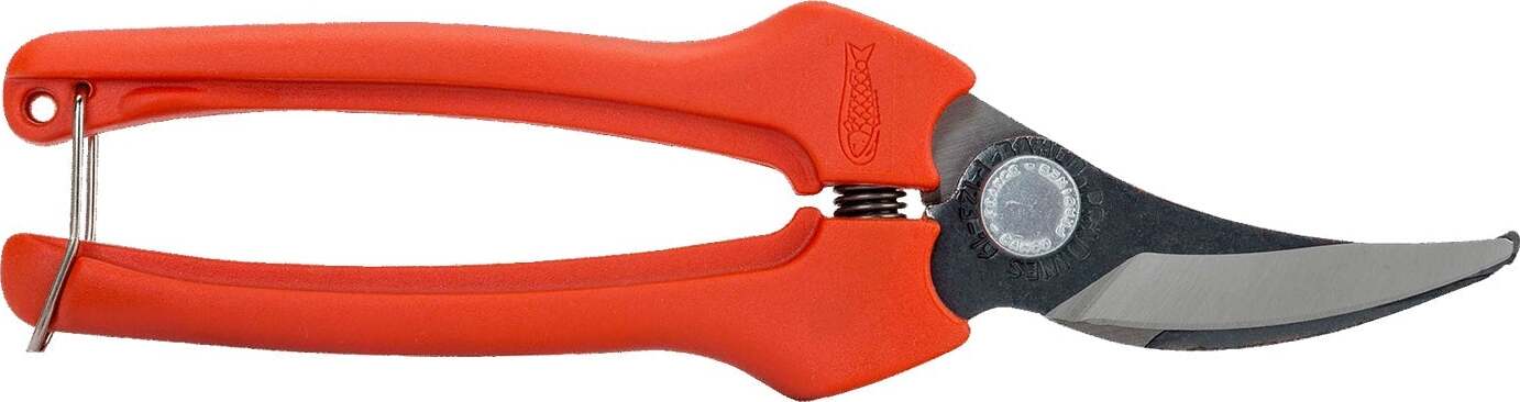 Forbice cogliuva per vendemmia con lama in acciaio inox da 19 cm