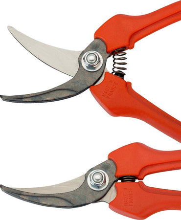 Forbice cogliuva per vendemmia con lama in acciaio inox da 19 cm