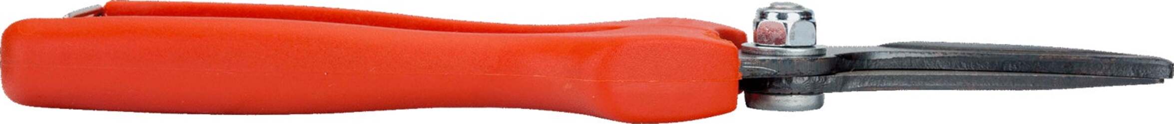 Forbice cogliuva per vendemmia con lama in acciaio inox da 19 cm