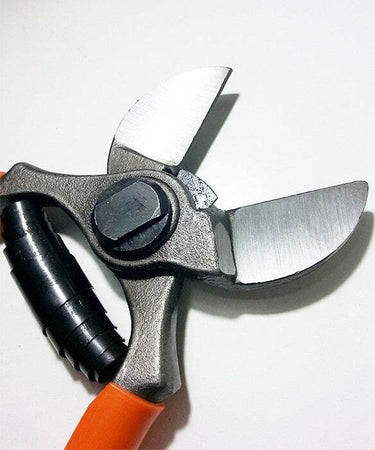 FORBICE DA POTA POTATURA A DOPPIO TAGLIO PER FRUTTETO E MELO 205 mm Fai da te/Utensili elettrici e a mano/Utensili elettrici/Cesoie Trade Shop italia - Napoli, Commerciovirtuoso.it