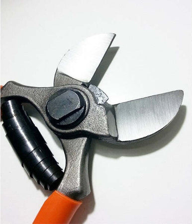 Forbice Da Pota Potatura A Doppio Taglio Per Frutteto E Melo 205 Mm Fai da te/Utensili elettrici e a mano/Utensili elettrici/Cesoie Trade Shop italia - Napoli, Commerciovirtuoso.it