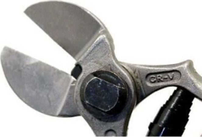 Forbici a doppio taglio per potatura frutteto da 21 cm in acciaio forgiato Fai da te/Utensili elettrici e a mano/Attrezzi da giardinaggio/Forbici e cesoie per potatura La Zappa - Altamura, Commerciovirtuoso.it