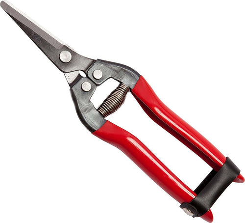 Forbici cogli agrumi con lama curva per raccolta uva e frutteto 19 cm Fai da te/Utensili elettrici e a mano/Attrezzi da giardinaggio/Forbici e cesoie per potatura La Zappa - Altamura, Commerciovirtuoso.it