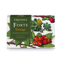 Forte Energy