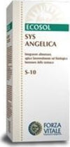 Forza-Vitale-Sys-Angelica-Tintura-Madre-50-ml