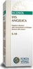 Forza-Vitale-Sys-Angelica-Tintura-Madre-50-ml