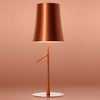 Foscarini Birdie grande on/off