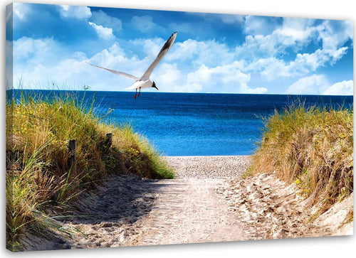 Foto-su-tela-Spiaggia-Dune-di-mare-Gabbiani