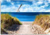Foto-su-tela-Spiaggia-Dune-di-mare-Gabbiani