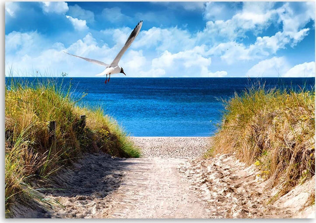 Foto-su-tela-Spiaggia-Dune-di-mare-Gabbiani