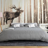 Product Image-0
