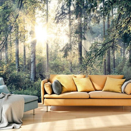 Product Image-0
