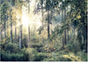 Product Image-1