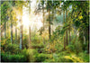 Product Image-1
