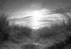 Fotomurale-beach-(black-and-white)