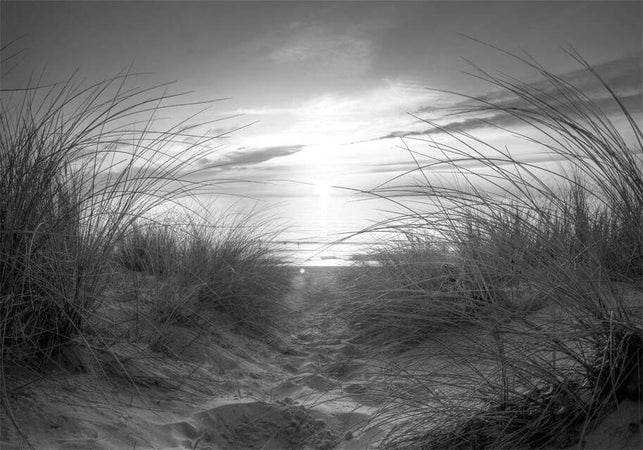 Fotomurale-beach-(black-and-white)