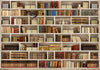 Fotomurale-Biblioteca-di-casa