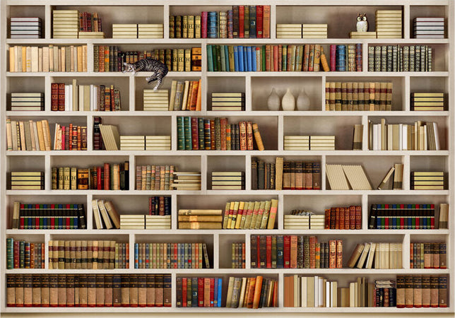 Fotomurale-Biblioteca-di-casa