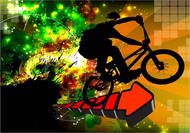 Fotomurale-Bicycle-Tricks