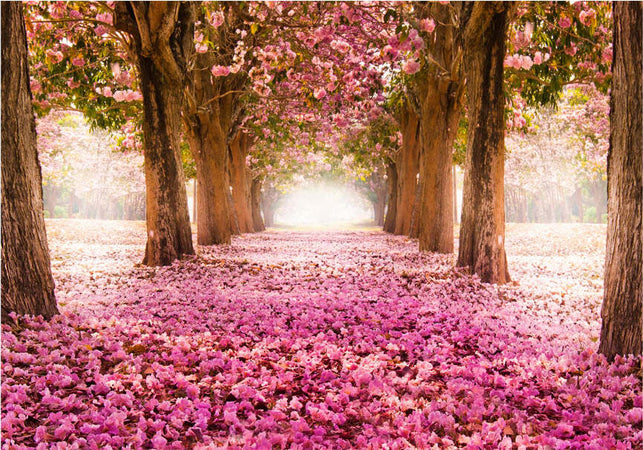 Fotomurale-Boschetto-rosa