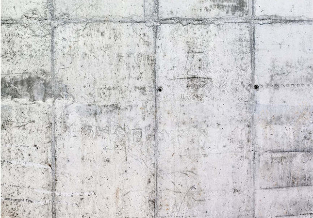 Fotomurale-Concrete-Wall
