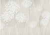 Fotomurale-Creamy-Daintiness