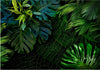 Fotomurale-Dark-Jungle