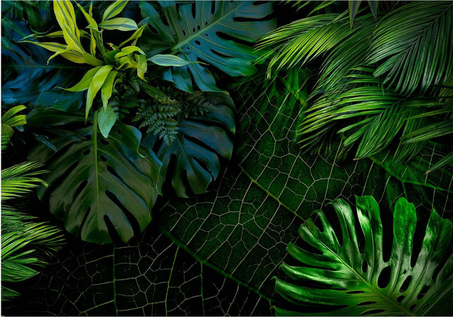 Fotomurale-Dark-Jungle