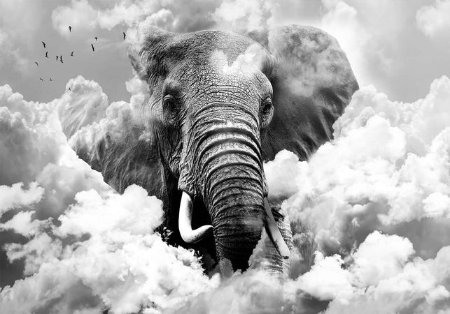 Fotomurale-Elephant-in-the-Clouds-(Black-and-White)