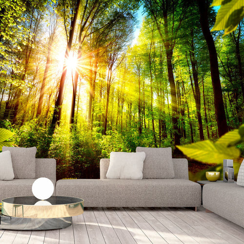 Fotomurale-Forest-Hideout