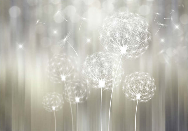Fotomurale-Gift-of-the-Sun