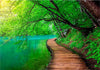 Fotomurale-Green-peace