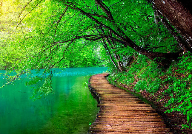 Fotomurale-Green-peace