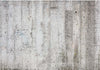 Fotomurale-Grey-Emperor