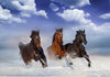 Fotomurale-Horses-in-the-Snow