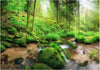 Fotomurale-Humid-Forest