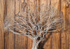 Fotomurale-Knot-of-Life