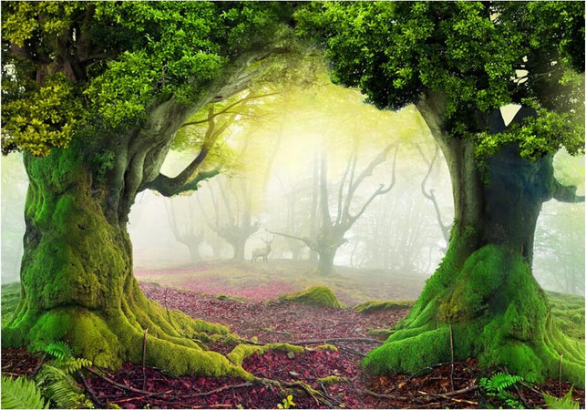 Fotomurale-La-Foresta-incantata