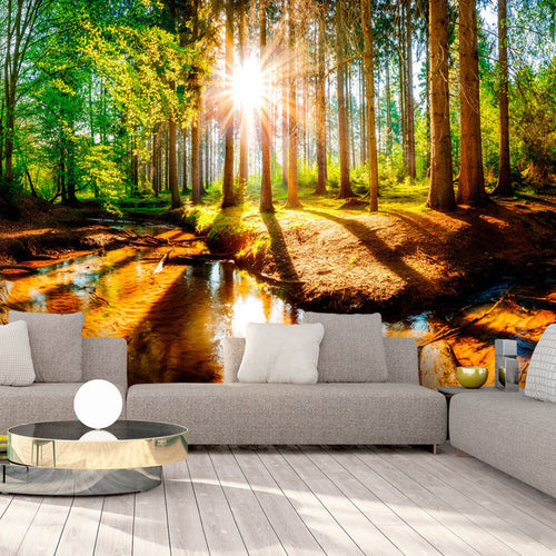 Fotomurale-Marvelous-Forest