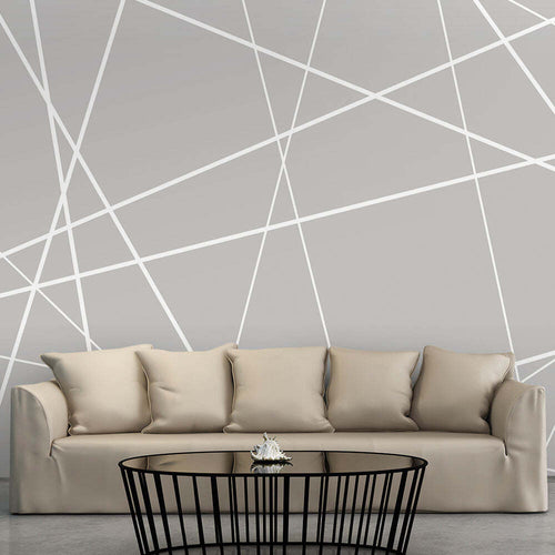 Fotomurale-Modern-Cobweb