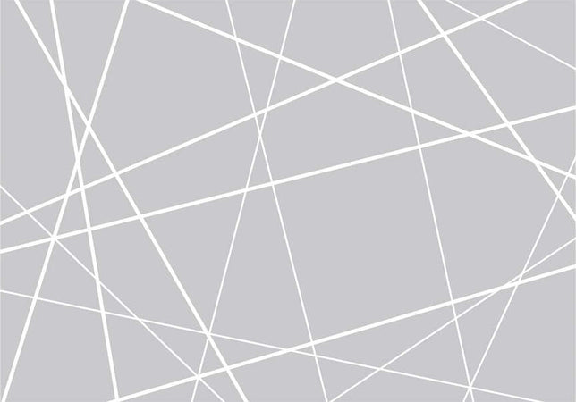 Fotomurale-Modern-Cobweb