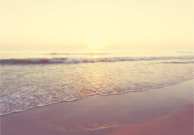 Fotomurale-Morning-on-the-Beach