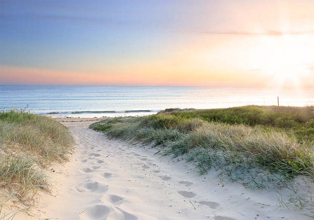 Fotomurale-Morning-walk-on-the-beach