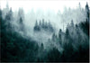 Fotomurale--Mountain-Forest-(Dark-Green)