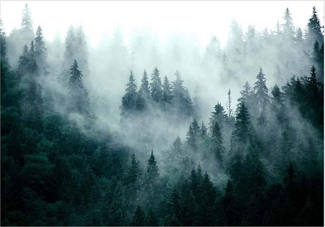 Fotomurale--Mountain-Forest-(Dark-Green)
