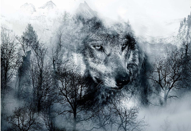 Fotomurale-Mountain-Predator-(Black-and-White)