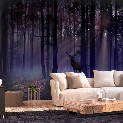 Product Image-0