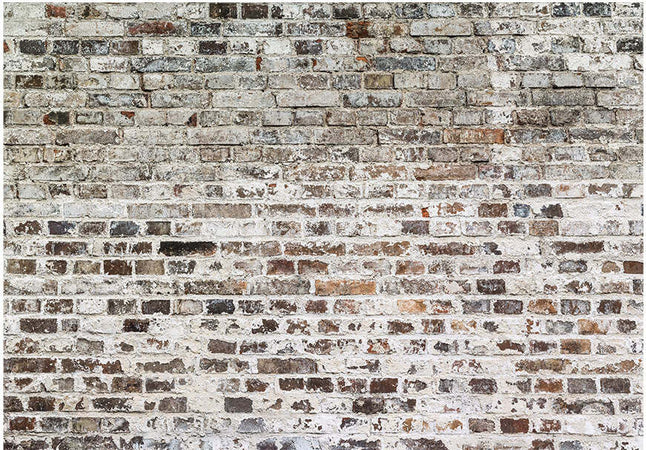 Fotomurale-Old-Walls
