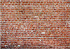 Fotomurale-Red-Rock
